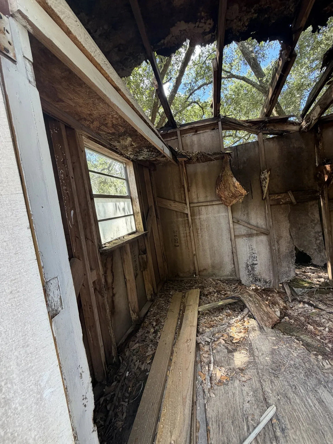 Interior of the shed showing exposed roof framing and damaged ceiling