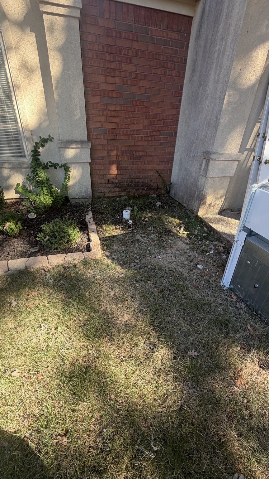 Cleared side yard after junk removal