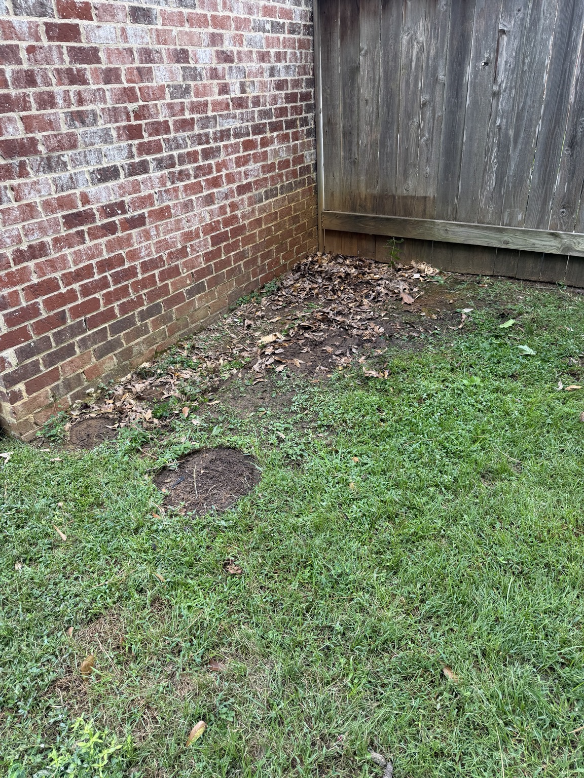 Yard area after outdoor junk removal at the property