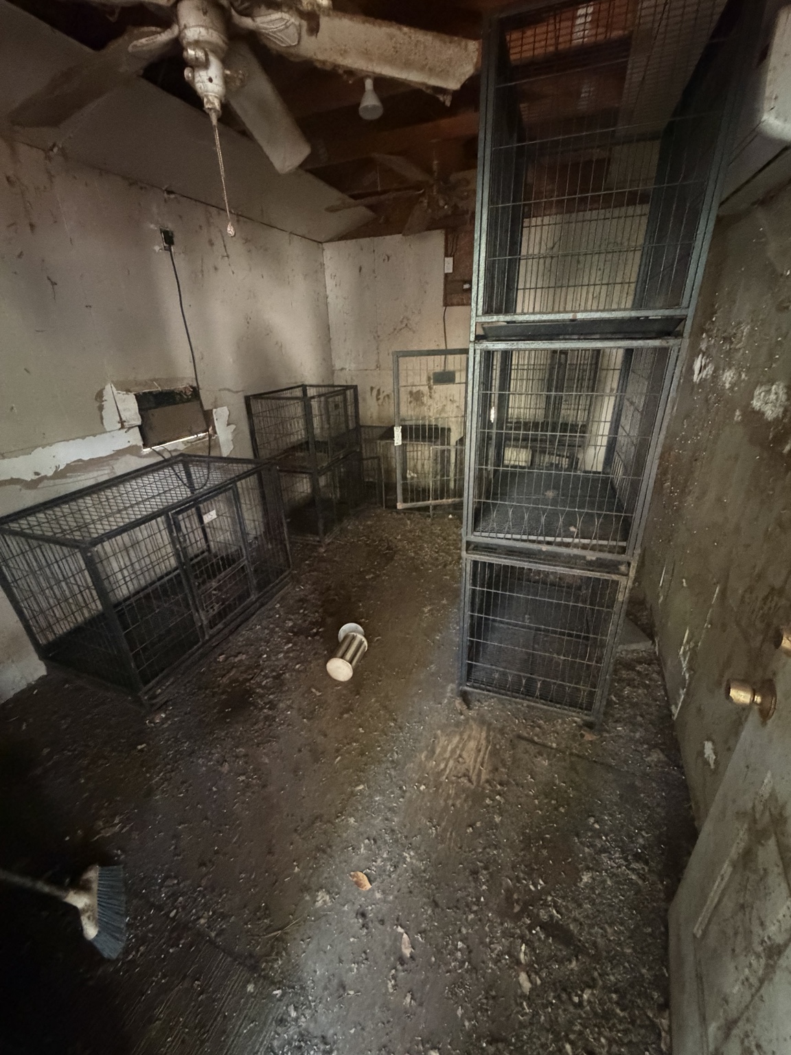 Interior of the shed during the cleanout