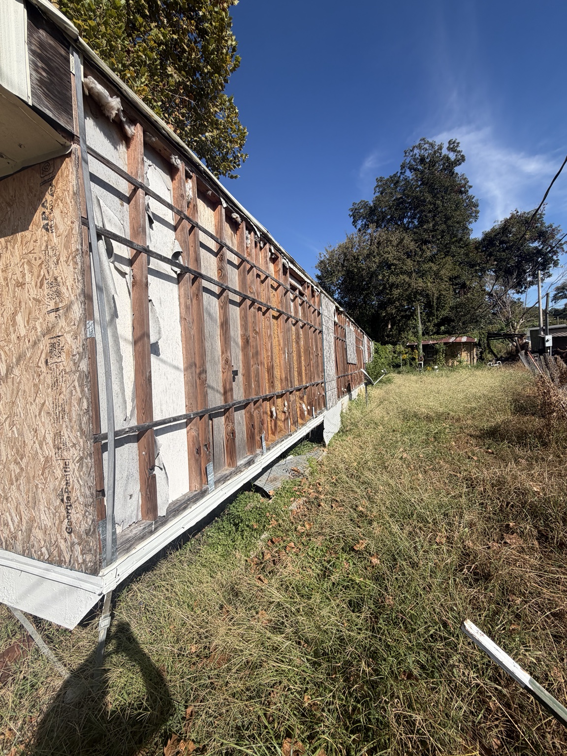 Side wall and roofline of the shed