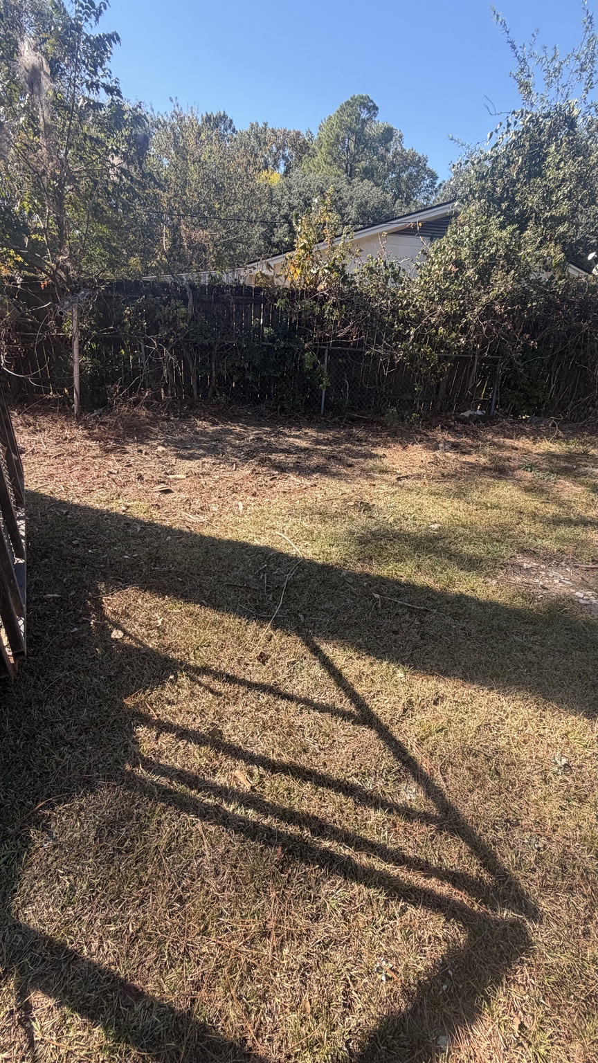 Backyard after the wood debris was removed