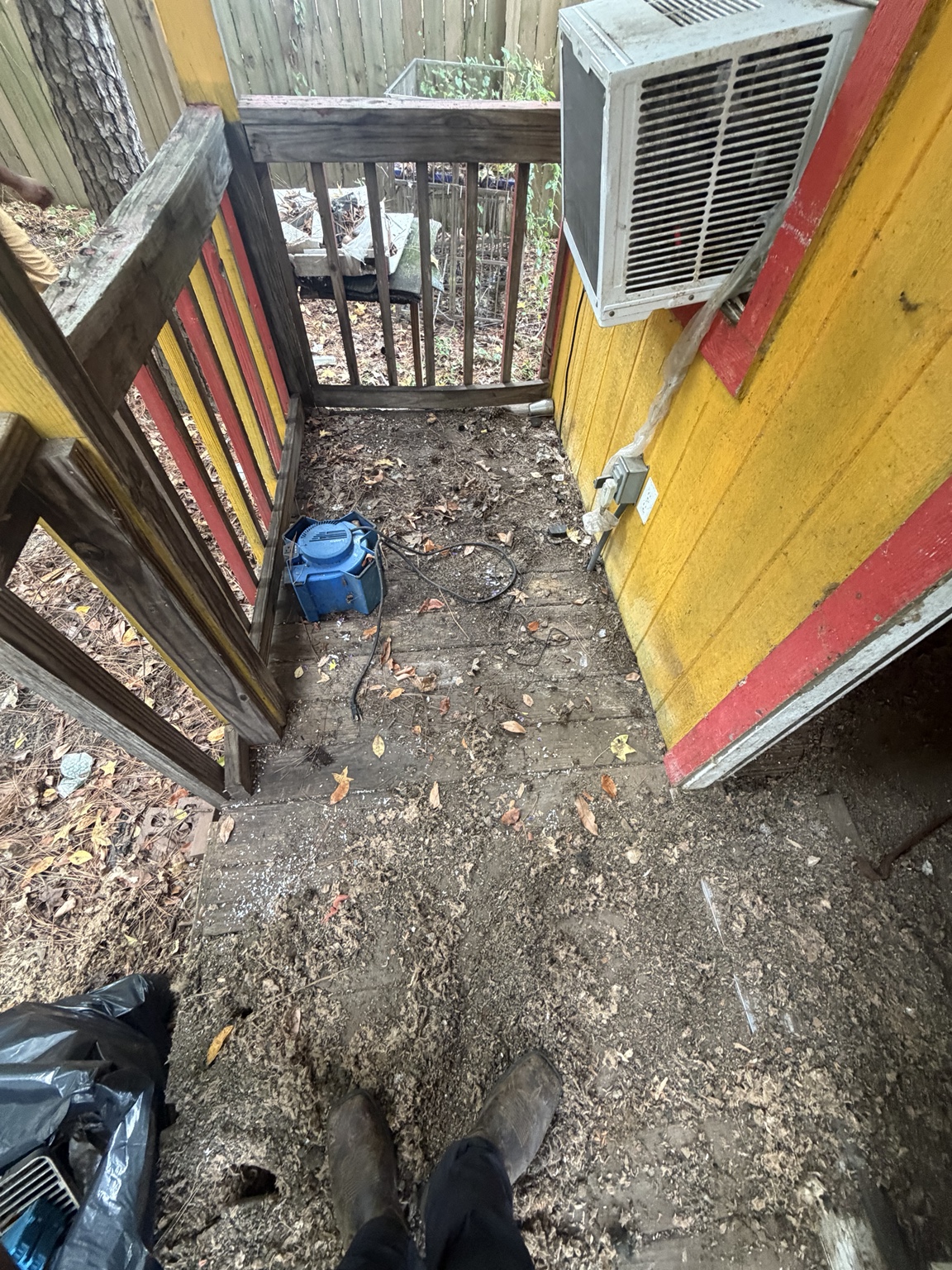 View through the doorway during a shed cleanout